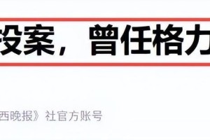 开云体育app下载-416亿买来的教训：剥离格力后，集团再也无法撼动董明珠的铁王座